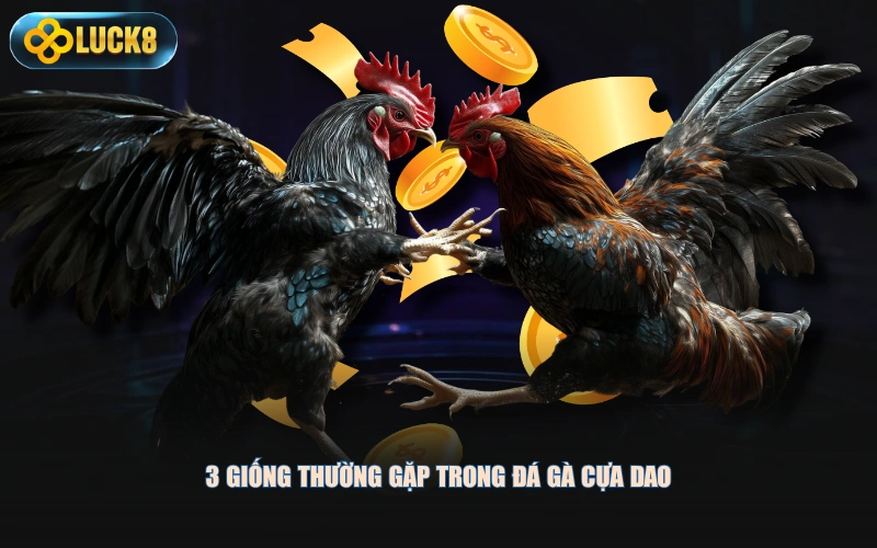 3 giống thường gặp trong đá gà cựa dao