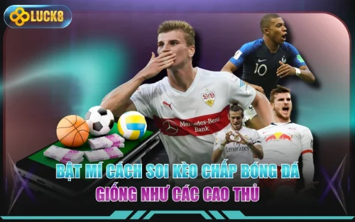 Bật Mí Cách Soi Kèo Chấp Bóng Đá Giống Như Các Cao Thủ