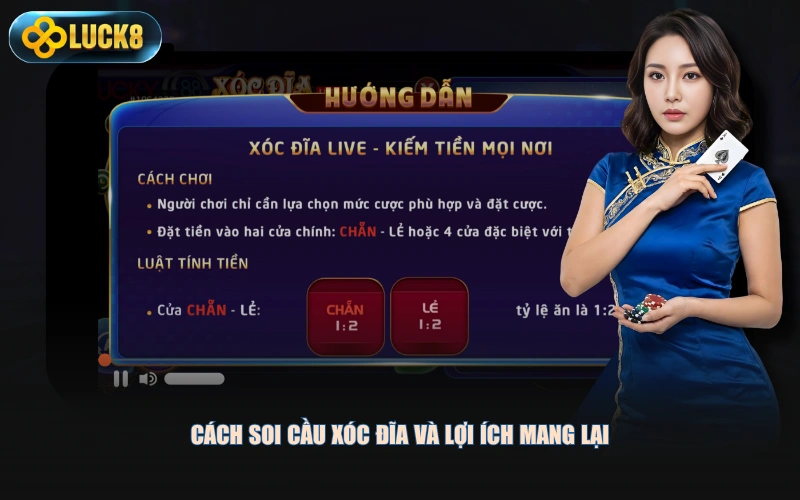 Cách soi cầu xóc đĩa và lợi ích mang lại