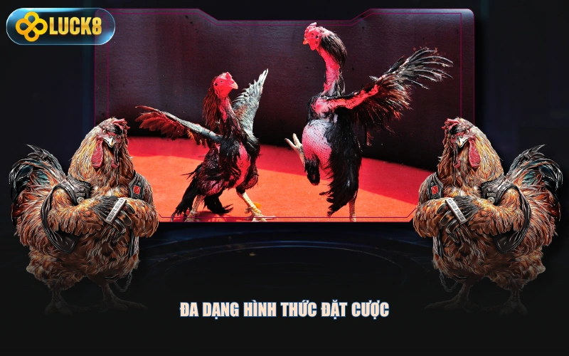 Đa dạng hình thức đặt cược