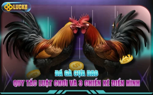Đá Gà Cựa Dao - Quy Tắc Luật Chơi Và 3 Chiến Kê Điển Hình