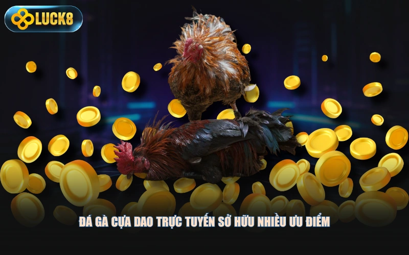 Đá gà cựa dao trực tuyến sở hữu nhiều ưu điểm