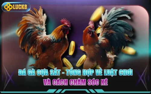 Đá Gà Cựa Sắt - Tổng Hợp Về Luật Chơi Và Cách Chăm Sóc Kê