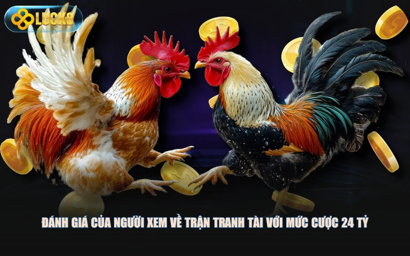 Đánh giá của người xem về trận tranh tài với mức cược 24 tỷ