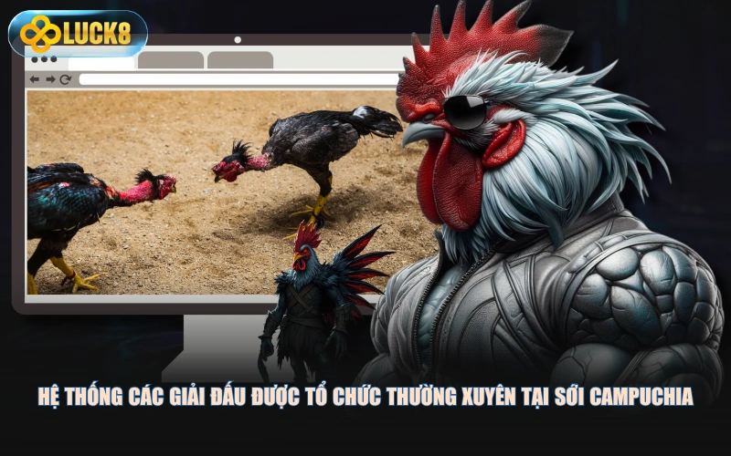 Hệ thống các giải đấu được tổ chức thường xuyên tại sới Campuchia