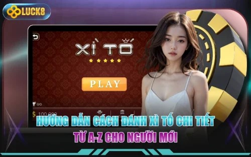 Hướng Dẫn Cách Đánh Xì Tố Chi Tiết Từ A-Z Cho Người Mới