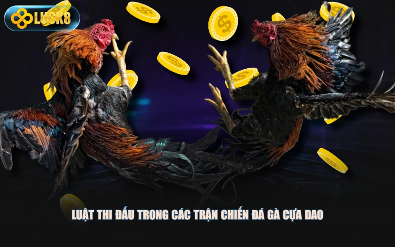 Luật thi đấu trong các trận chiến đá gà cựa dao