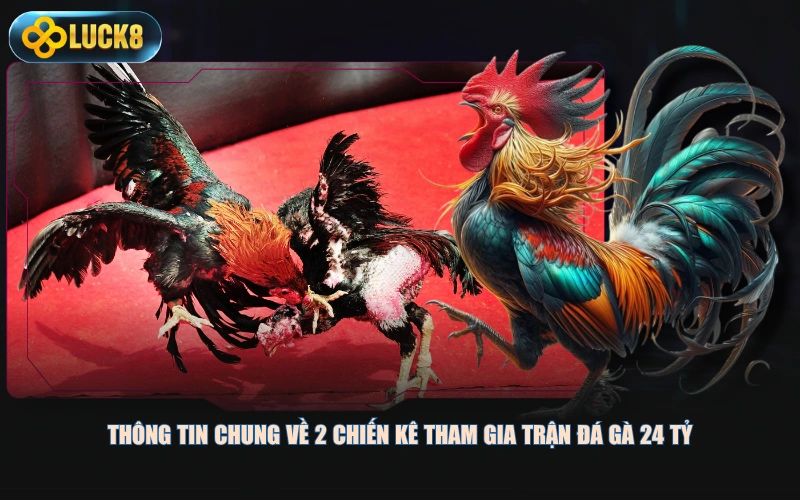 Thông tin chung về 2 chiến kê tham gia trận đá gà 24 tỷ