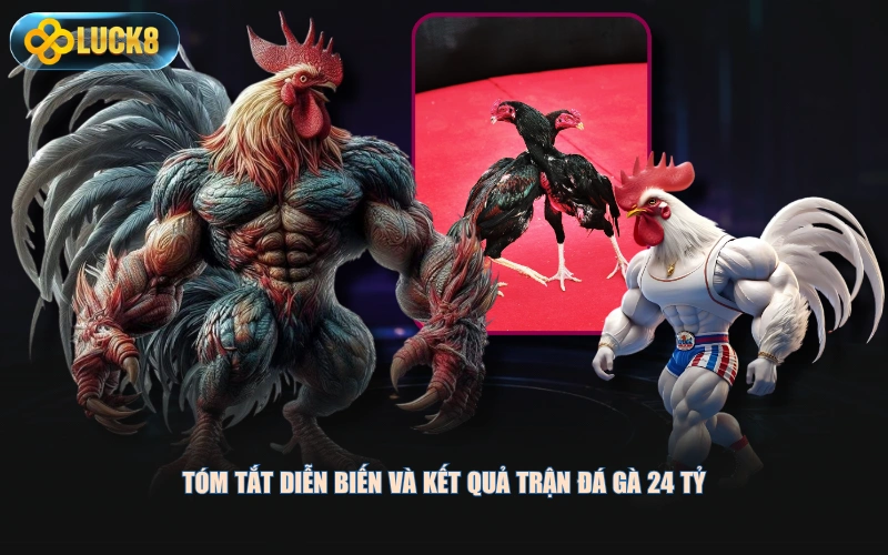 Tóm tắt diễn biến và kết quả trận đá gà 24 tỷ