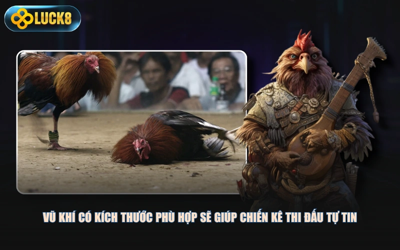 Vũ khí có kích thước phù hợp sẽ giúp chiến kê thi đấu tự tin